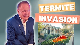 Termite Invasion Alert What Every Homeowner Must Know [upl. by Nner]