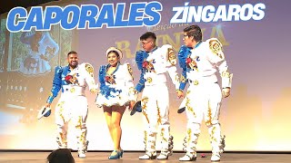 Fraternidad Caporales Zíngaros haciendo su Presentación en el Teatro APCD 2024 [upl. by Hourihan498]