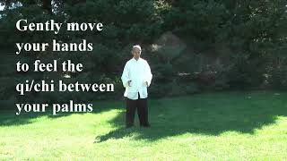 Tai Chi Qigong Shibashi Set 1  by Master Wing Cheung [upl. by Ynnig]