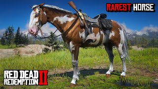 All 4 Rare American Paint Horses Location amp Rankings  RDR 2 [upl. by Moureaux]