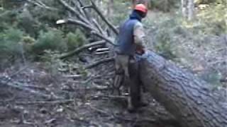 warren maine logging with tom burgess part 1 [upl. by Pollux]