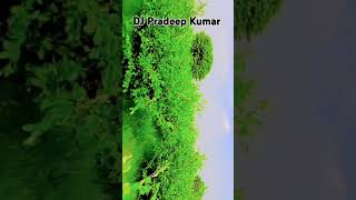 My park  DJ Pradeep Kumar 9694817762 wwwcom [upl. by Libenson744]