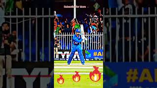 Rashid Khan No look shot 🔥🔥 shorts [upl. by Phonsa790]