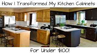 How I Transformed My Kitchen Cabinets for Under 100 [upl. by Aennaej470]