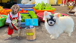 Monkey YiYi harvests snails to sell to get money to buy food for ducklings but [upl. by Eliott507]