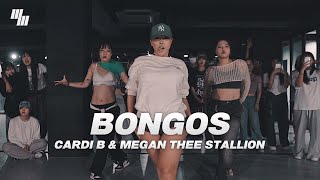 Cardi B amp Megan Thee Stallion  Bongos Dance  Choreography by 가비 GABEE  LJ DANCE STUDIO [upl. by Demetrius]