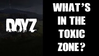 What Loot Gear amp Weapons Spawn In The DayZ Contaminated Toxic Gas Zone 114 Experimental PC Xbox [upl. by Ileyan]