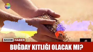 Buğday kıtlığı olacak mı [upl. by Gradey736]