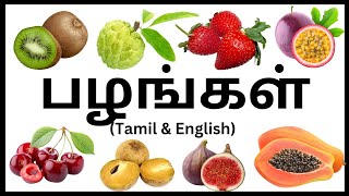 பழங்களின் பெயர்கள்  Fruits Name in Tamil and English 🍓🥝🍒  பழங்கள் Kids Educational videos fruits [upl. by Nozicka812]