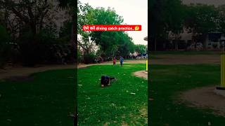 Diving Catch technique 💯✅ catching cricket fielding cricketlover championshakib shortvideo [upl. by Ahsercul]