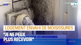 Vernaison elle habite dans un logement envahi de moisissures [upl. by Lustig704]