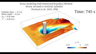 Simulation of scour around a vertical cylinder with an immersed boundary method [upl. by Tammy]