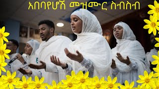 አበባየሆሽ መዝሙር ስብስብ 🌻🌻2017🌻🌻abebayehosh New Ethiopian Orthodox Mezmur 2024 [upl. by Atrahc]