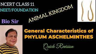 Phylum Aschelminthes  Animal Kingdom  Class 11  Biology  NCERT  Nematodes [upl. by Anival]