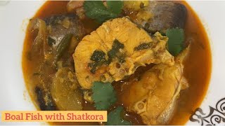 Boal Fish with Shatkora Citrus Macroptera Curry Simple Fast Recipe  Shatkora Boal Maas [upl. by Allerbag]