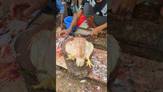 Most Attractive Big Size Whole Chicken Cutting Skills In Expert Cutter 😱 shorts [upl. by Jacinto]