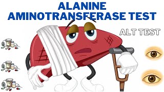 Alanine Aminotransferase ALT Test and Results  When should I worry about Alt  247nht [upl. by Ibrek951]