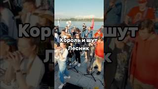 Famous Russian punk rock band played by 320 musicians🤩 rock rocknmob punkrock корольишут [upl. by Thant]