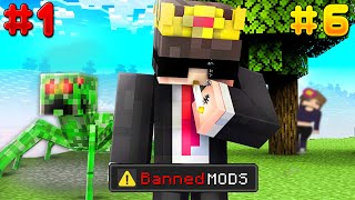 I Tried EVERY ILLEGAL BANNED Mod in Minecraft [upl. by Acirtap]