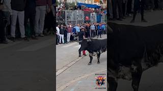 😍UN TORAZO DE TORRESTRELLA FIRA D’ONDA 2024 [upl. by Goldberg]