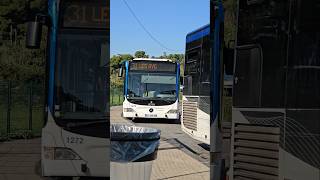 1272 sur le 31 mercedes bus citaro rtm [upl. by Burkitt]