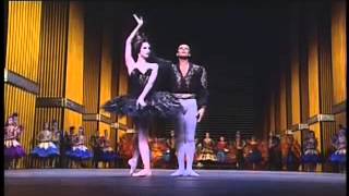 POB 1992 Swan Lake cho Bourmeister Patrick Dupond Marie Claude Pietragalla Oliver Patey [upl. by Adalie739]