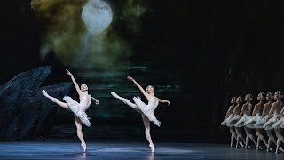 Insights The Royal Ballet in Rehearsal  Swan Lake [upl. by Pallaten]