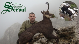 Balkan Chamois Hunting in the Croatian mountains Velebit  Gamsjagd in Kroatien Velebit [upl. by Airotahs216]