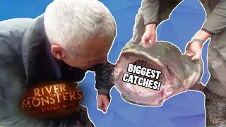 The BIGGEST CATCHES Part 1  COMPILATION  River Monsters [upl. by Warfore]