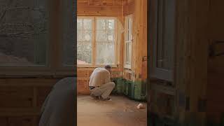 Wood boring beetles treatment tips from Domyowncom pestcontrol [upl. by Ylil]