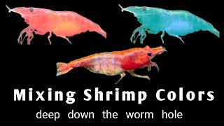 Mixing Shrimp Colors  Creating Unique Red Rili Shrimp Line [upl. by Ydna]