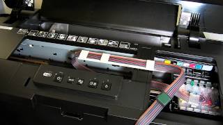 Epson 1500w Ciss continuous ink sytem [upl. by Sanoy]