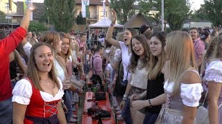 Die Partyfürsten  AltmainWeinfest Sand am Main 2018 [upl. by Yrekcaz]