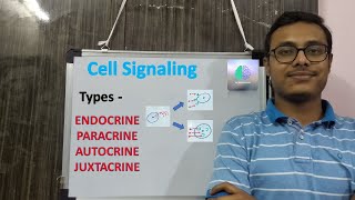 Cell Signaling  Types  Endocrine Paracrine Autocrine Juxtacrine Cell Signaling Types Hindi [upl. by Rokach]