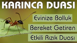 Karınca duası dinle Bereket Rızık duası dinle 99 Kere  Evinize Bol Rızık için KARINCA DUASI [upl. by Dredi144]