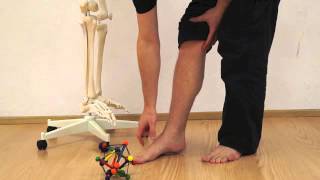 Posture Training 3 The forefoot strike  Natural walking for pain relieve [upl. by Ransell358]