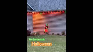 Mr Grinch steals Halloween 2024 mrgrinch halloween halloween2024 christmas Xmas cute funny [upl. by Sedaiuqlem27]