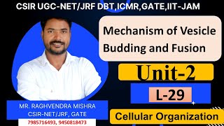 Mechanism of vesicle budding vesicle based targeting Cellular Organization Unit2 [upl. by Batty]