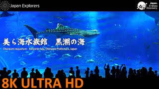 8K Aquarium  Churaumi Aquarium Kuroshio Sea Okinawa Japan 美ら海水族館 黒潮の海 8K [upl. by Iret364]