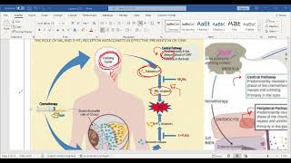 nausea and vomiting pharmacology online [upl. by Onavlis93]