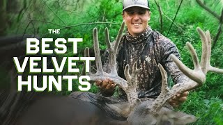 The Best Velvet Hunts [upl. by Moriah]