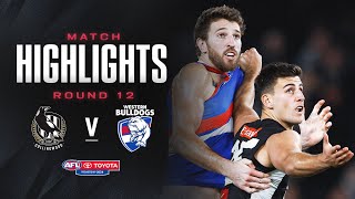 Collingwood v Western Bulldogs Highlights  Round 12 2024  AFL [upl. by Asenej]