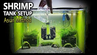 Shrimp Tank Setup for Caridina  Asian Method with Undergravel Filter [upl. by Ellehcam]