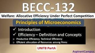 BECC 132 Welfare Allocative Efficiency Under Perfect Competition [upl. by Aloeda]