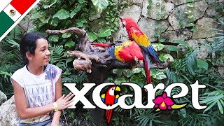 Lo Mejor de Xcaret Riviera Maya Mexico [upl. by Clementas]