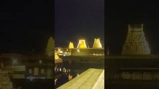 Kanchipuram kamatchi Amman pournami Pooja special 🙏❤️youtubeshort trendingshorts [upl. by Milissa]