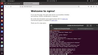 How to Almalinux in Docker on Install NGINX [upl. by Eliam]