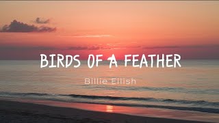 BILLIE EILISH  Birds Of A Feather New Version [upl. by Aenet361]