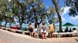 TODA ORLA MARÍTIMA DE RECIFE PINA BOA VIAGEM PERNAMBUCO [upl. by Wahlstrom907]