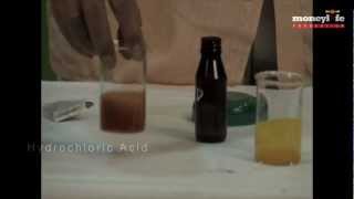 Food Adulteration amp How It Affects You Part 2 [upl. by Ayhtin301]